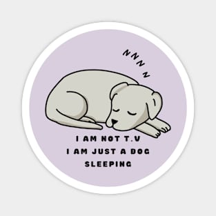 Dog sleeping T-shirt Magnet